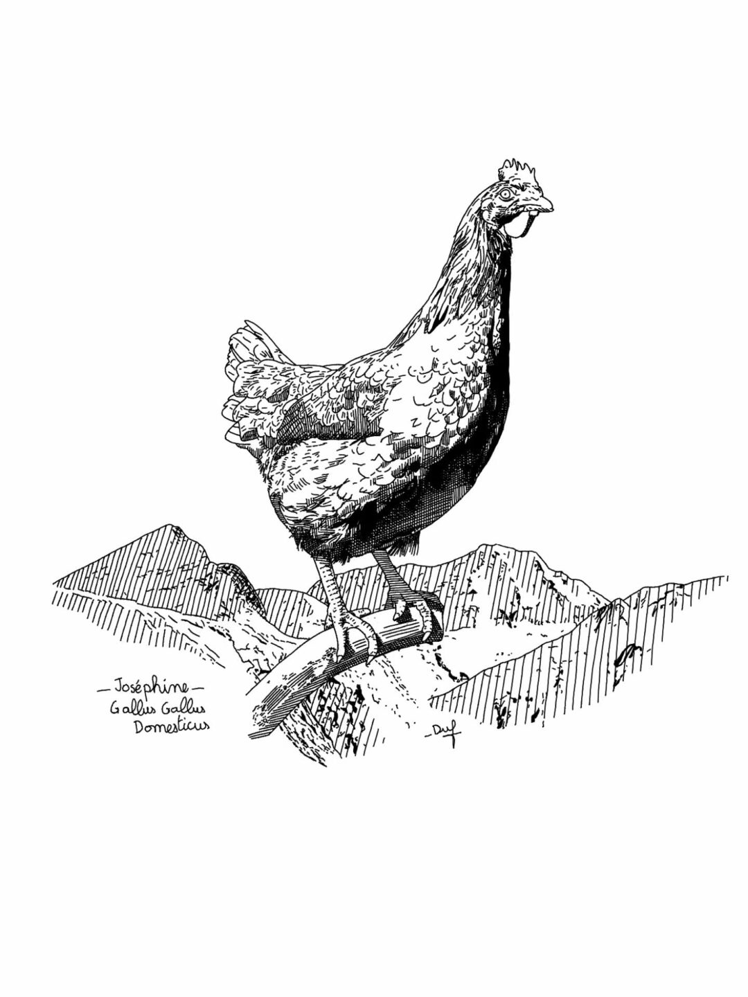 Joséphine