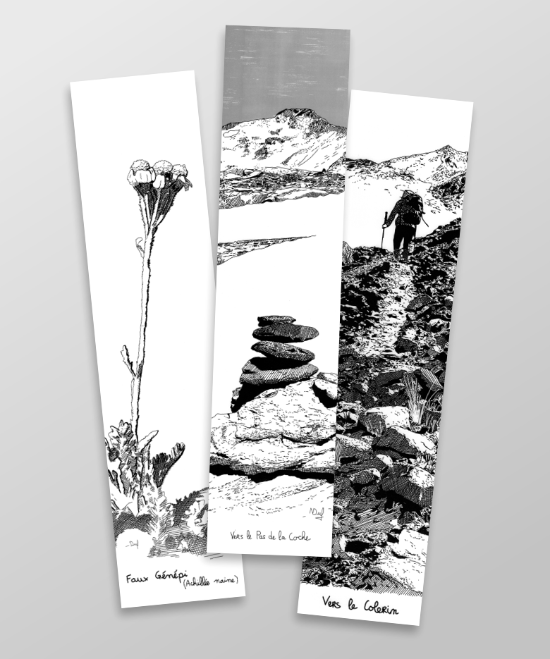 Bookmark bundle