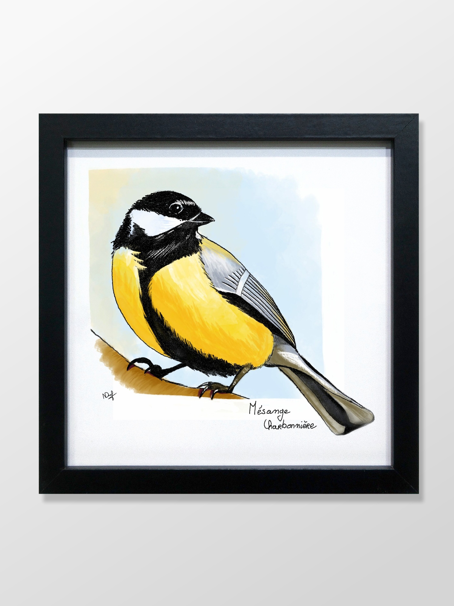 Mésange charbonnière (great tit) - Image 4