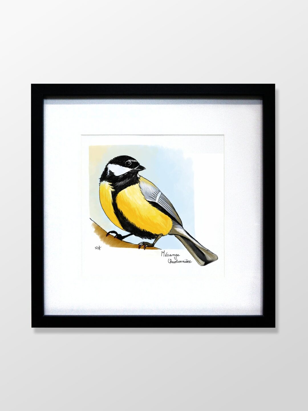 Mésange charbonnière (great tit)