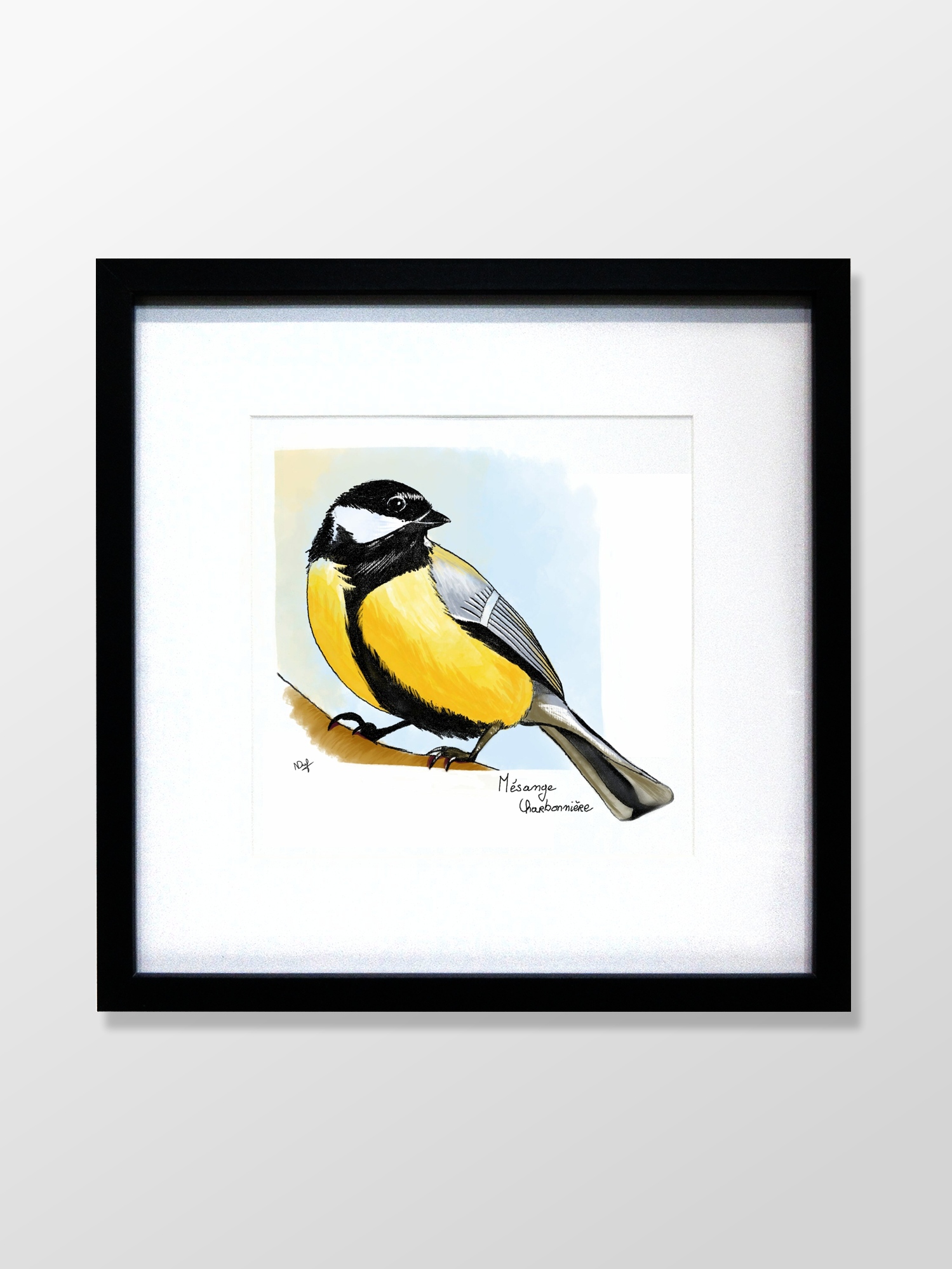 Mésange charbonnière (great tit) - Image 3