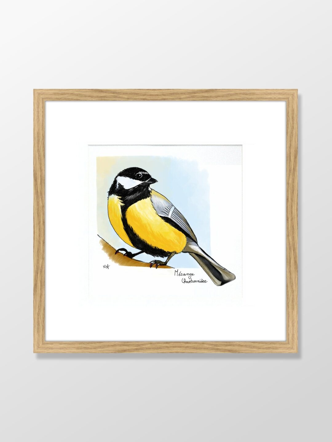 Mésange charbonnière (great tit)