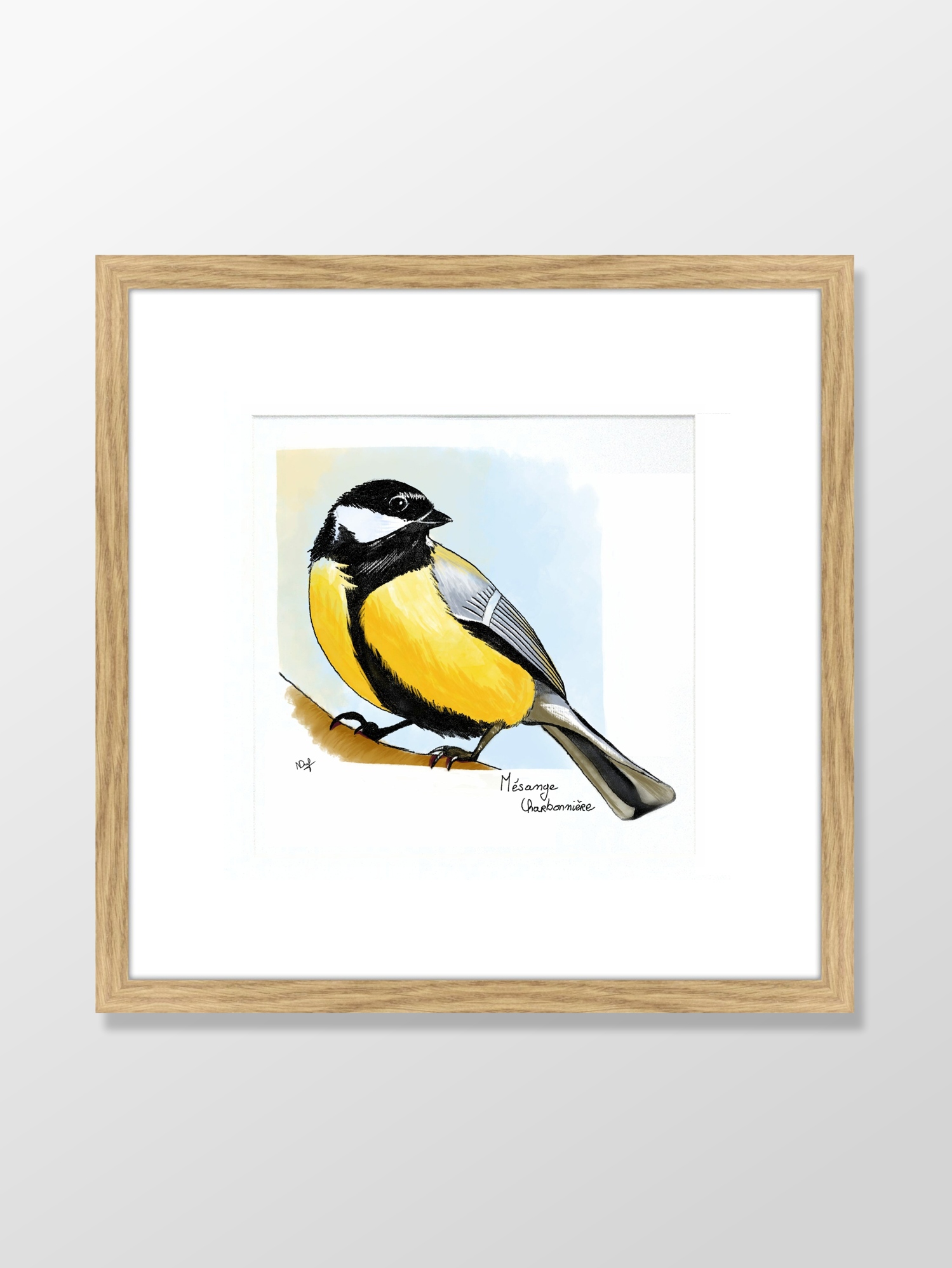 Mésange charbonnière (great tit) - Image 2